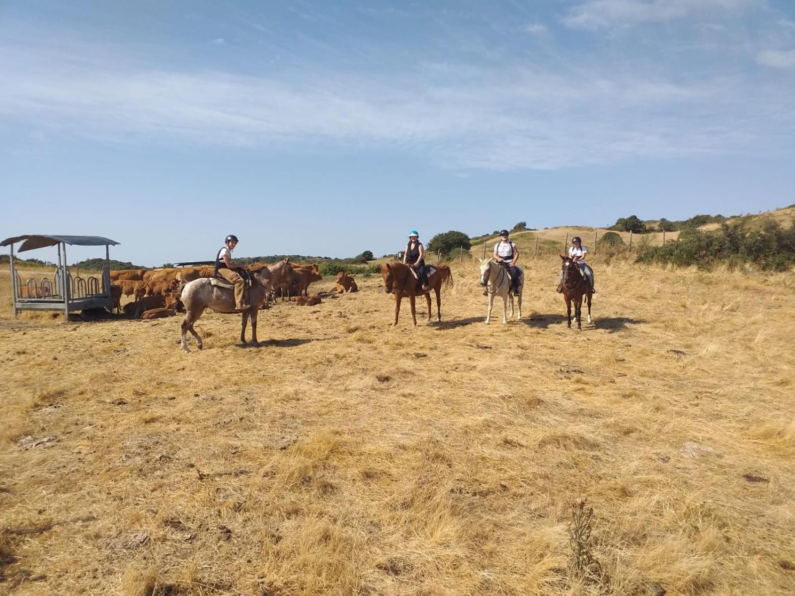 Agriturismo La Guinza Arcidosso Exteriér fotografie