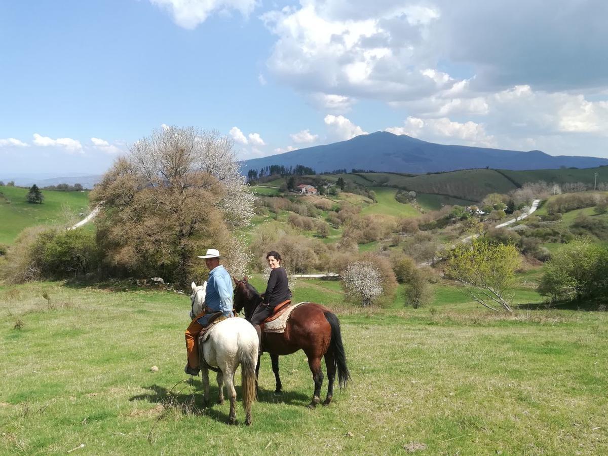 Agriturismo La Guinza Arcidosso Exteriér fotografie