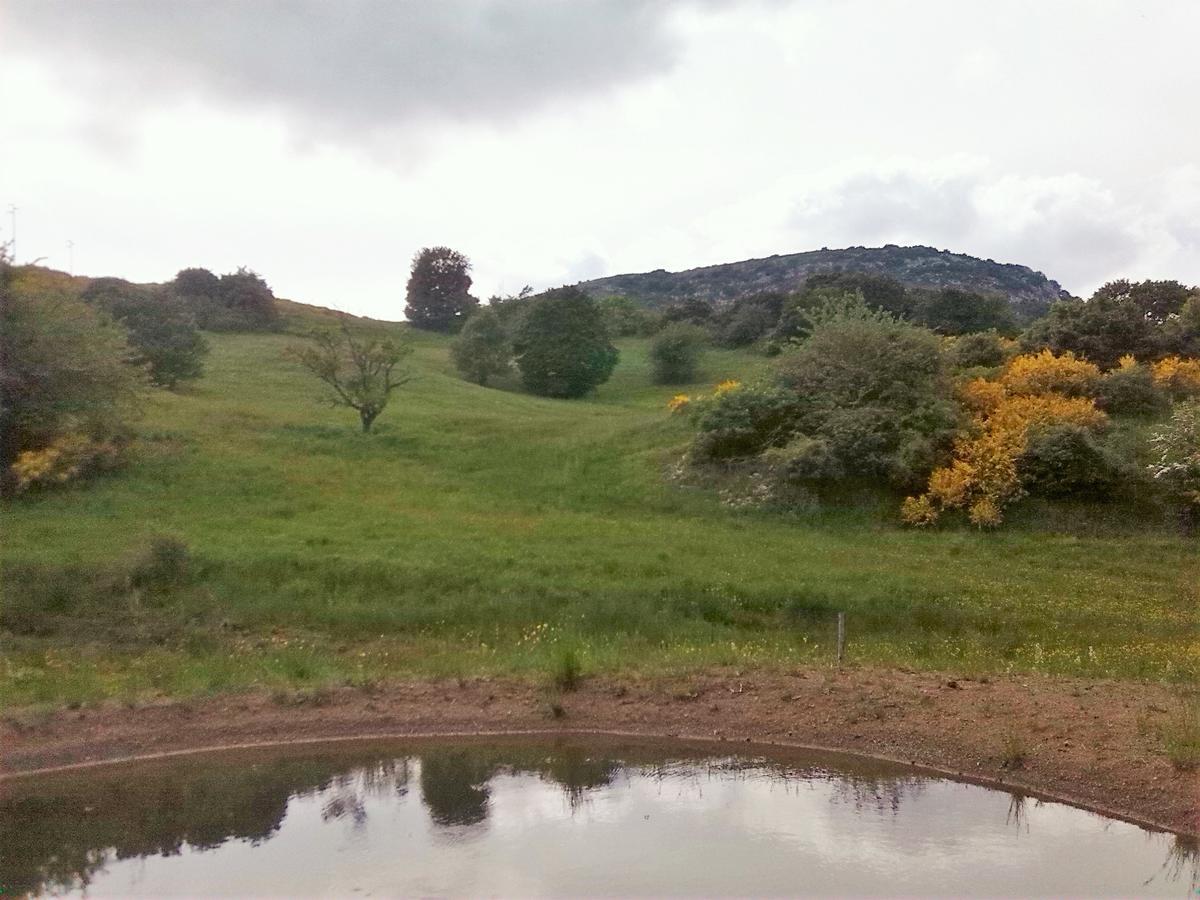 Agriturismo La Guinza Arcidosso Exteriér fotografie
