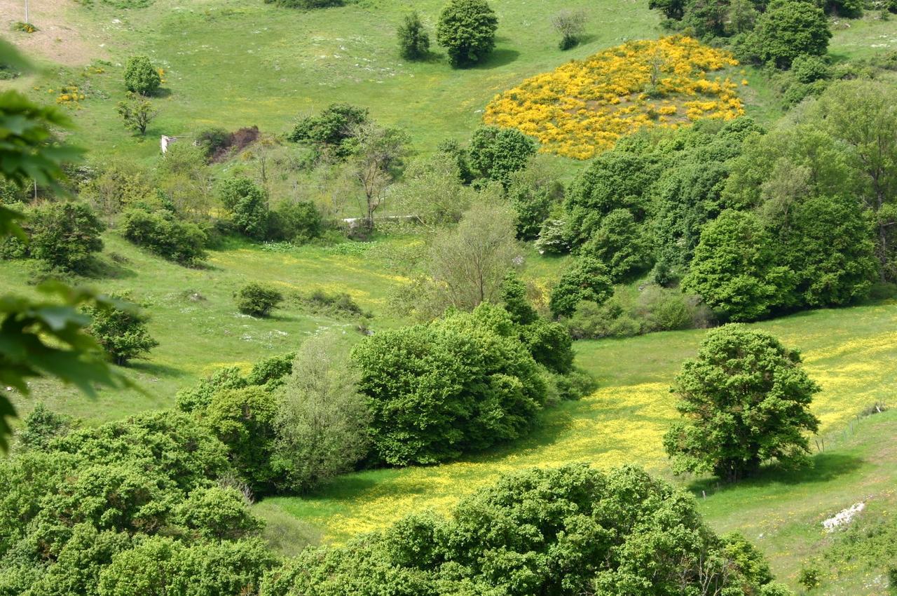 Agriturismo La Guinza Arcidosso Exteriér fotografie